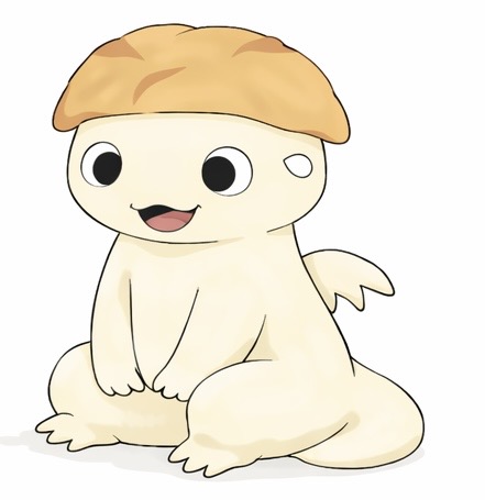 代表メッセージ