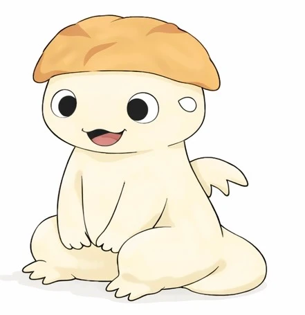 Heyete(ヘイエテ) CEO